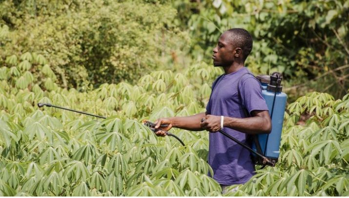 An African farmer spraying pesticides on crops in a fram