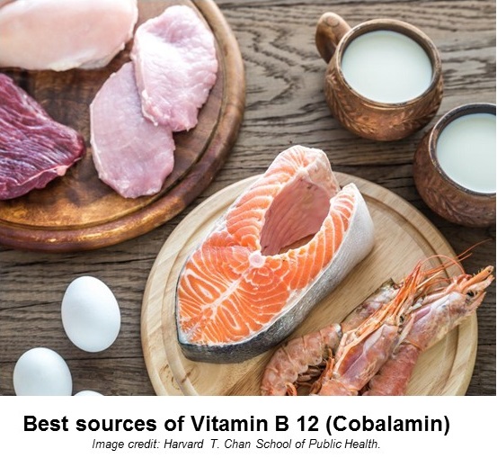 Best sources of Vitamin B 12