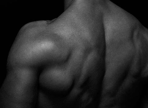 Torso of black male body builder from the back.