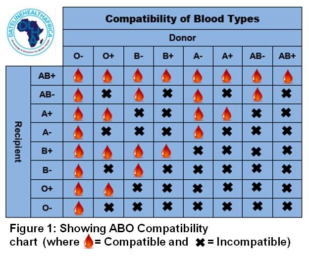 Blood compatibility chart
