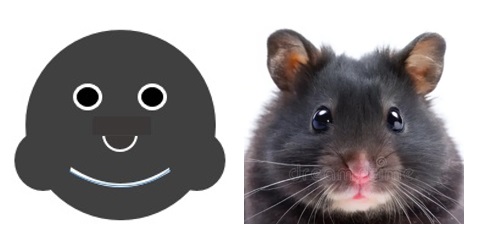 Caricature of a human Hamster face appearance compared with a hamster