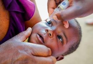child receiving oral polio