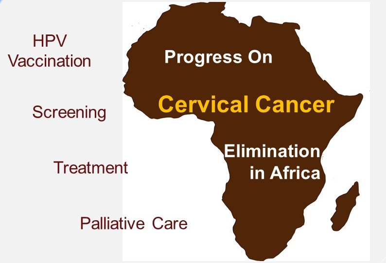 Progress on cevical cancer elimination in Africa