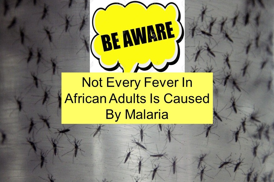 Not Every Fever in Africa Is Caused By Maaria