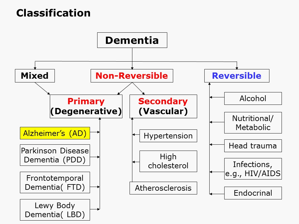 Image: Classification of Dementia