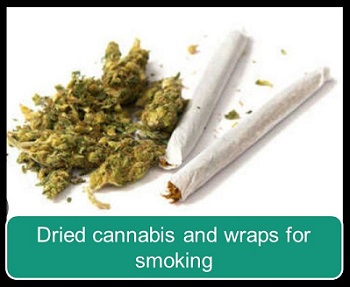 Dried cannabis and wraps for smoking.