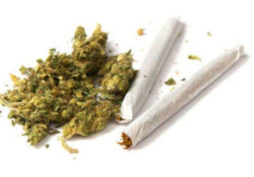Dried cannabis and wraps