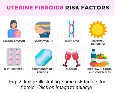 Diagram illustrating risk factors for fibroid.