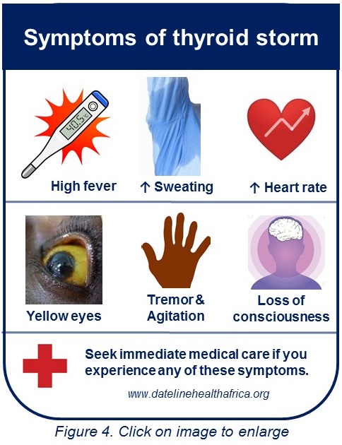 Symptoms of thyroid storm.