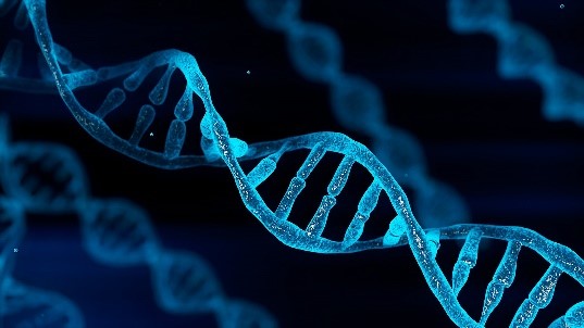 Illustration of DNA double helix strand.