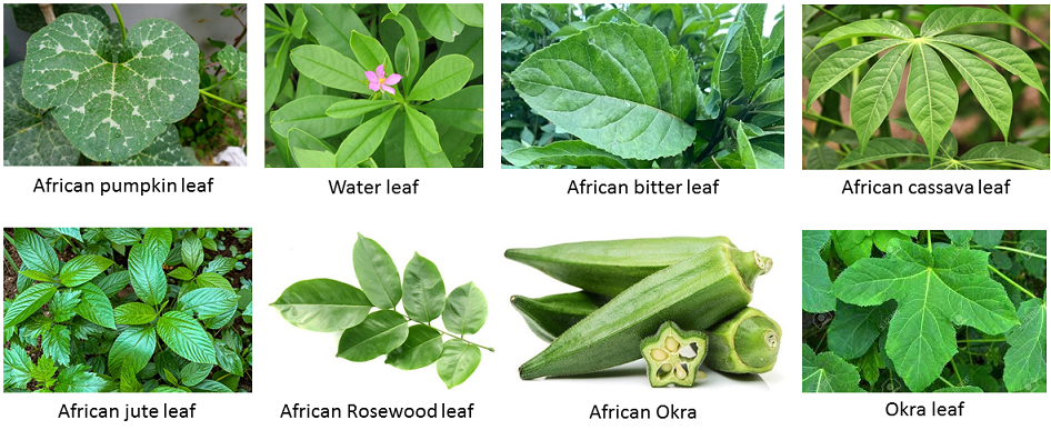 Barieties of African vegetables