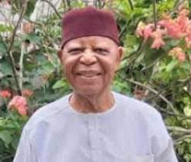 Late Dr. Theodore Chukwunyere Okeahialam