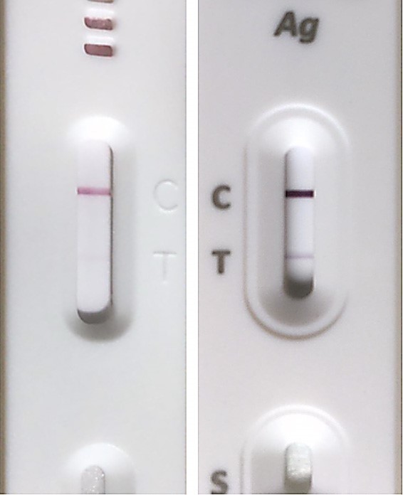 Ovulation predictor kit