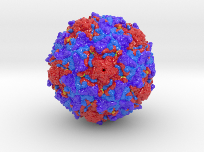 3-D image of polio type 2 virus
