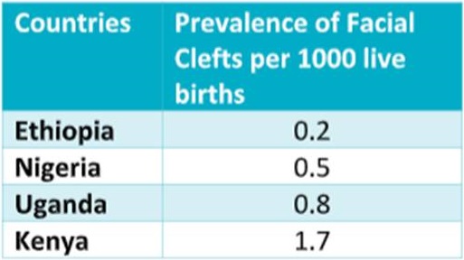 Prevalence of clefts in sample African countries