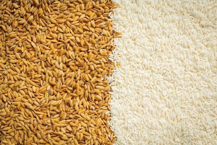 Rice hulked and dehulked side by side