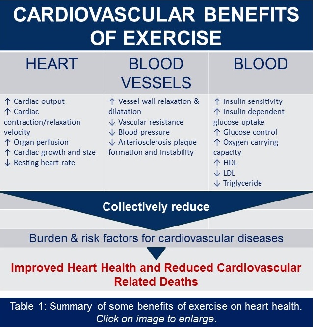 Benefits of exercise on heart health.