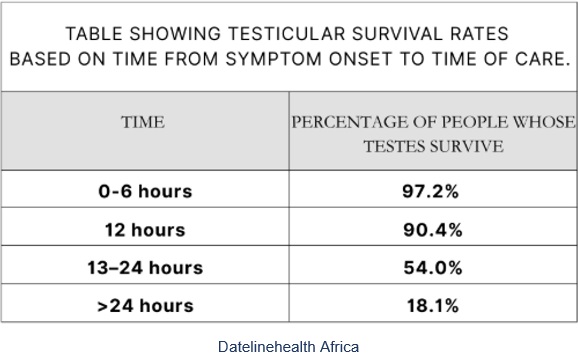 Timeline for treatment of testicular torsion