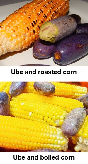 Ube (African Pear) paired with roasted and boiled corn