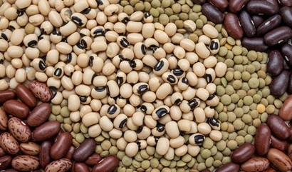 Black eyed beans, lentils and bambara beans