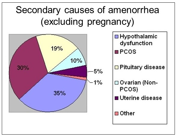 Secondary causes of amenorrhea