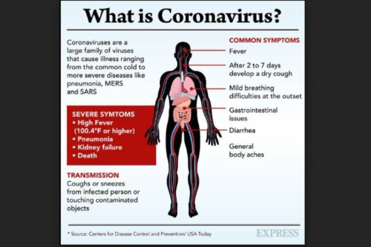 Cartoon image depicting the clinical symptoms of Covid-19 and affected organs in the body