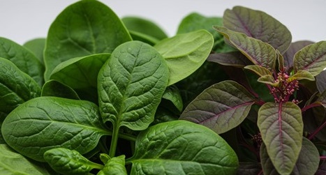Leafy green vegetables