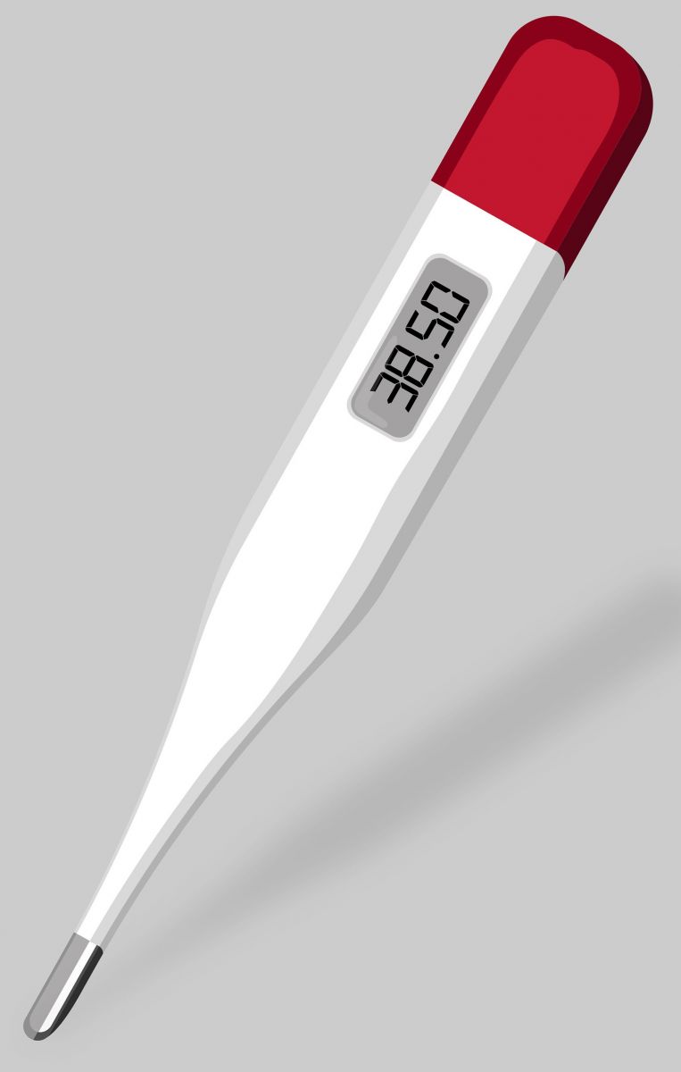 Digital thermometer