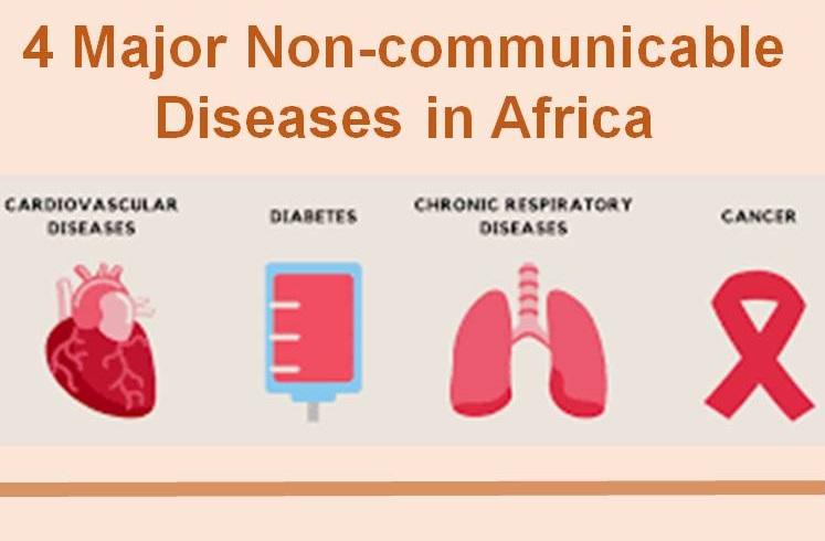 4 majorNCDs in Africa